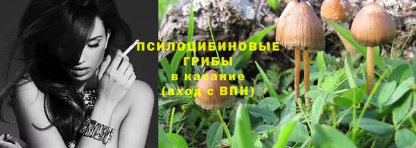 ПСИЛОЦИБИНОВЫЕ ГРИБЫ Новокубанск