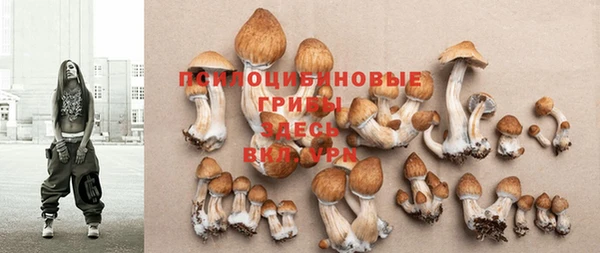 спайс Новозыбков