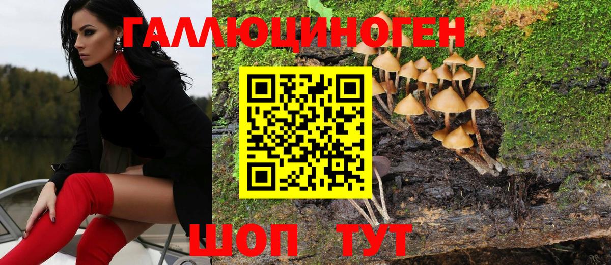 Галлюциногенные грибы MAGIC MUSHROOMS Заводоуковск