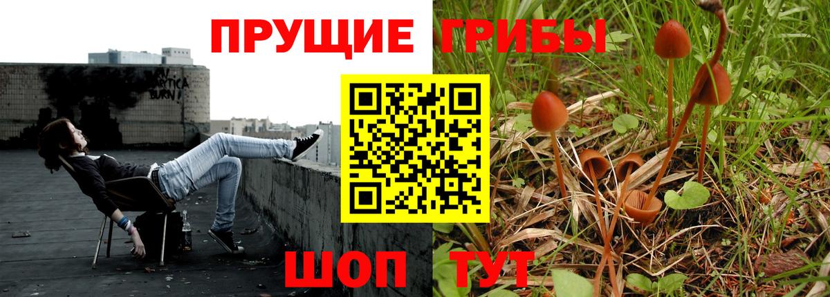 Галлюциногенные грибы мухоморы  Заводоуковск 